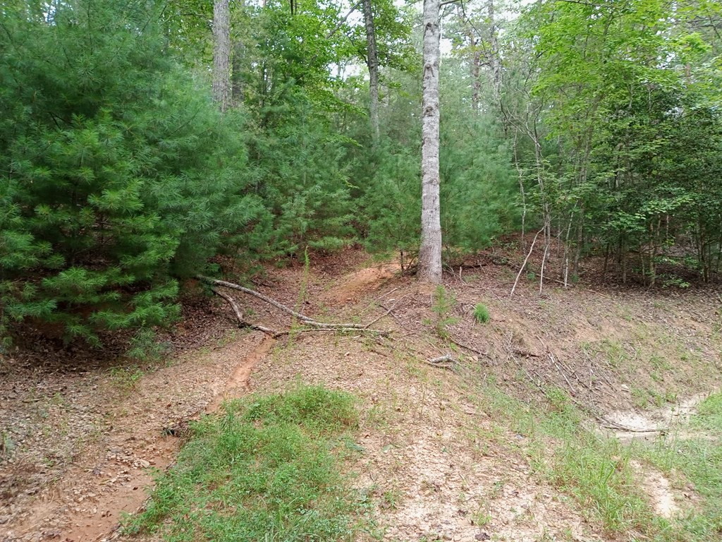 LT25 Honeysuckle Circle