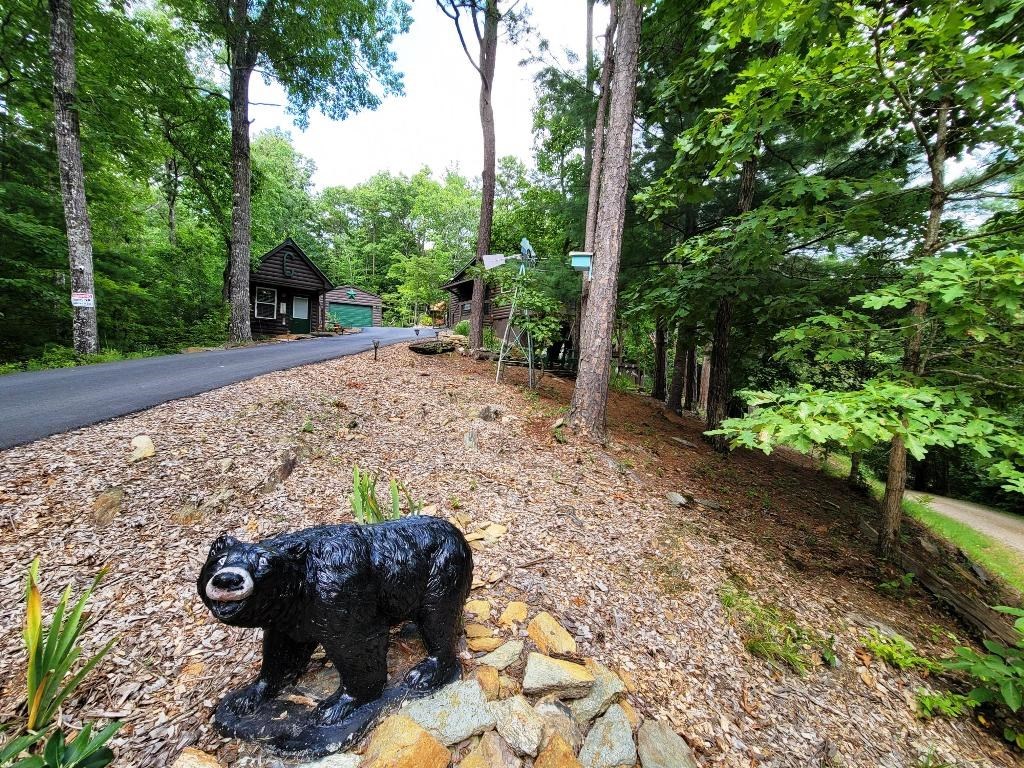 170 Fern Ridge Trail