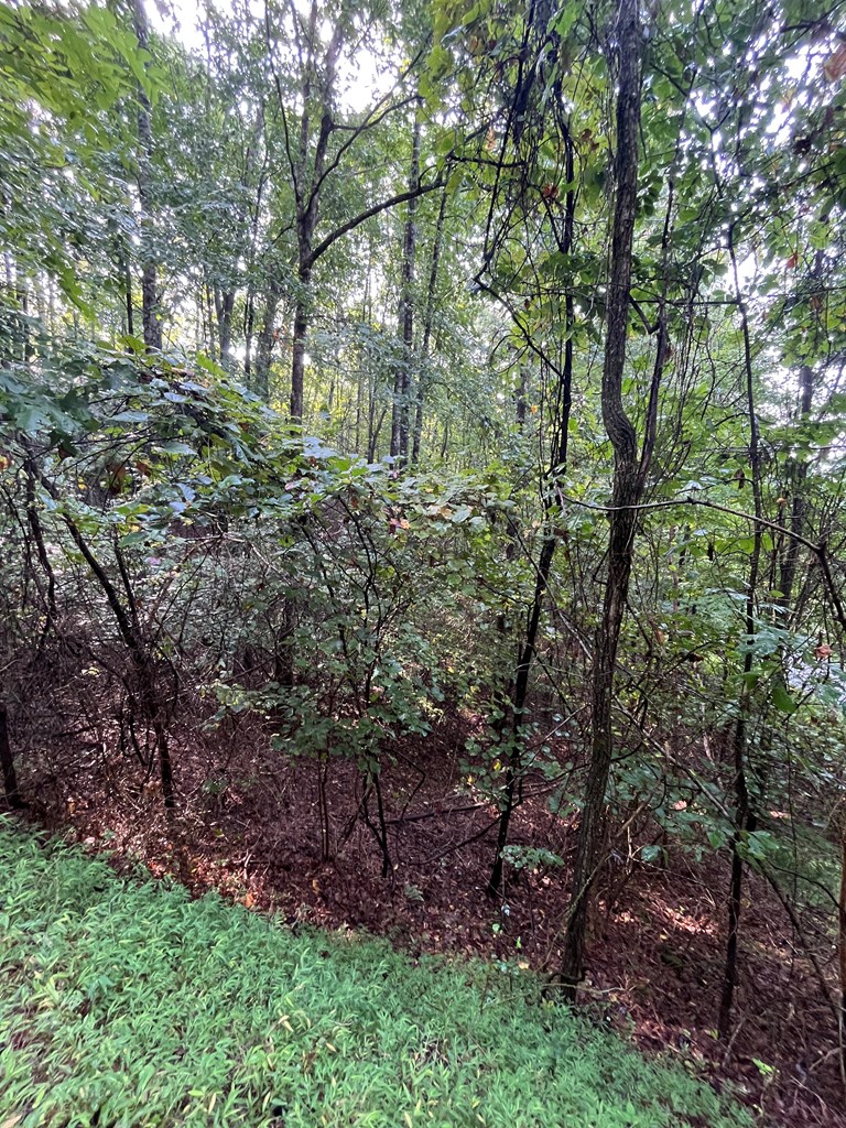 Lot 45AC Ash Branch Circle