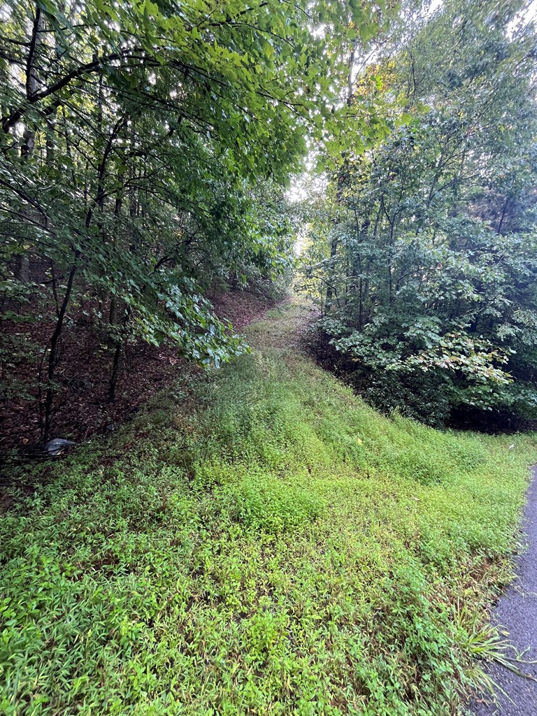 Lot 45AC Ash Branch Circle