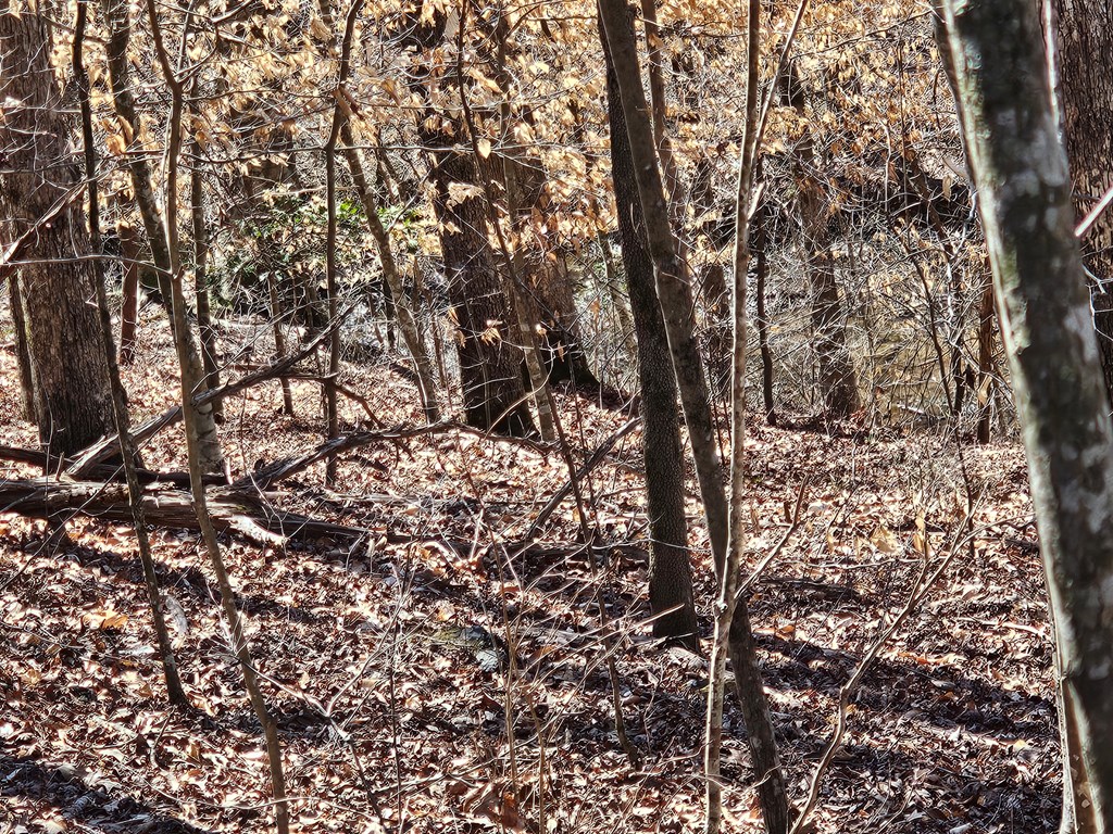 Lot 26 Oak Ridge Way