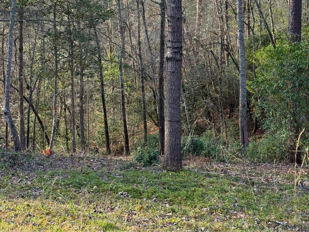 Lot 30 Brasstown Trails