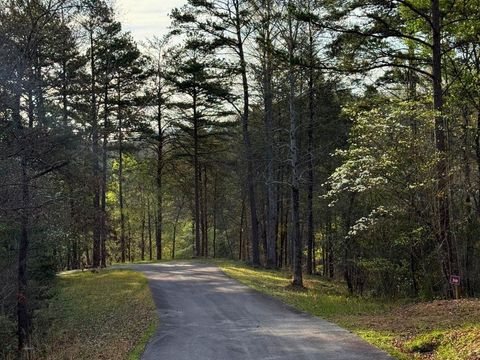 Lot 30 Brasstown Trails Warne NC 28909