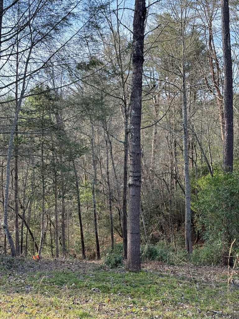 Lot 30 Brasstown Trails