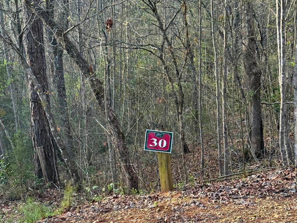 Lot 30 Brasstown Trails