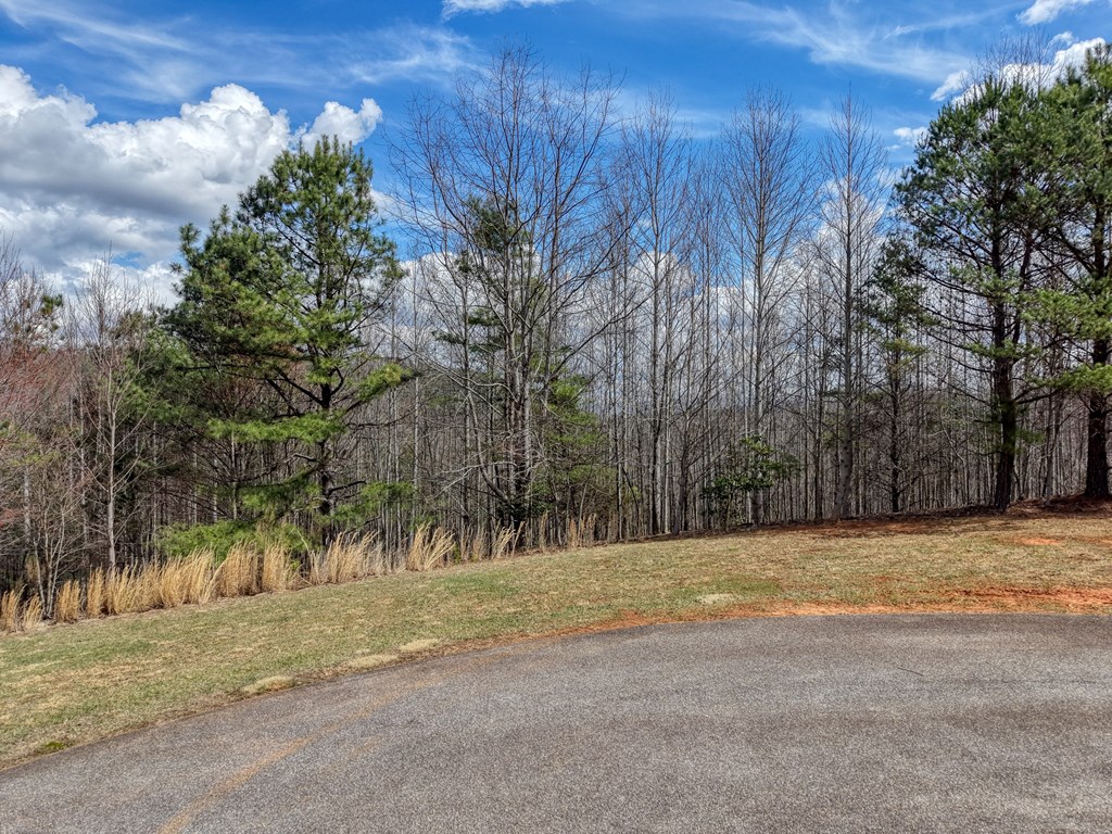 Lot 73 Summit Trace