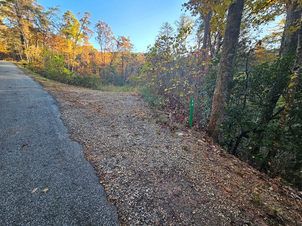 84 Spiva Cove Mountain Trail