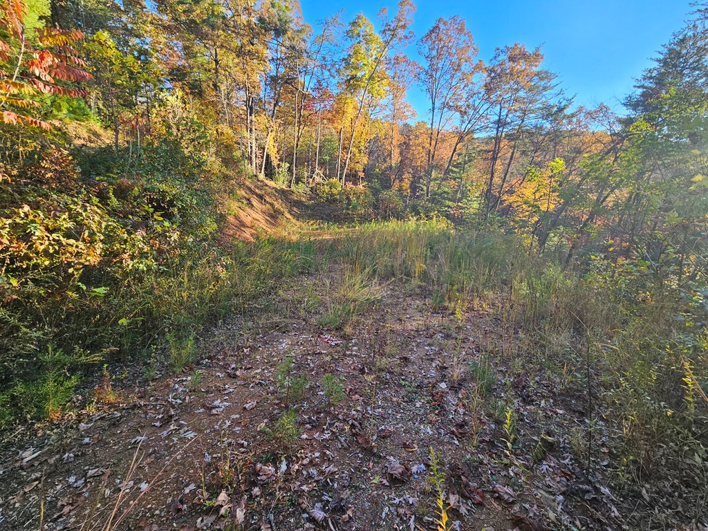 84 Spiva Cove Mountain Trail