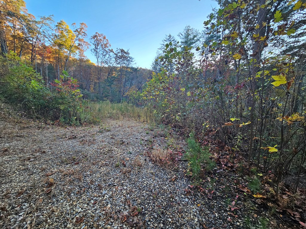 84 Spiva Cove Mountain Trail