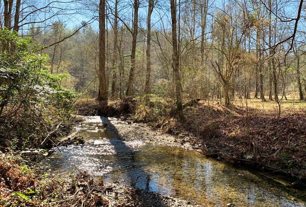 3177 Rodgers Creek Road