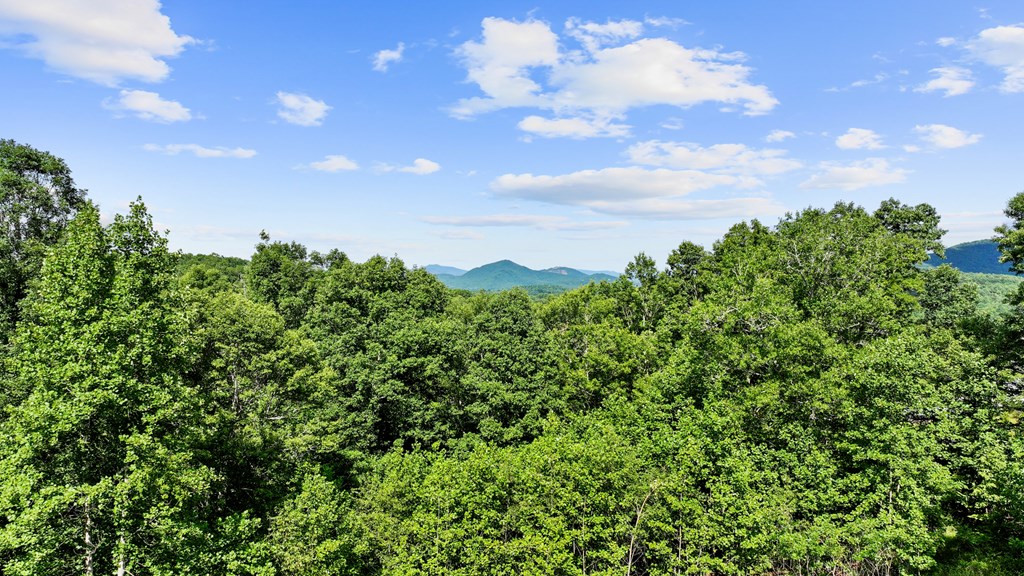 120 Brannon Ridge Res