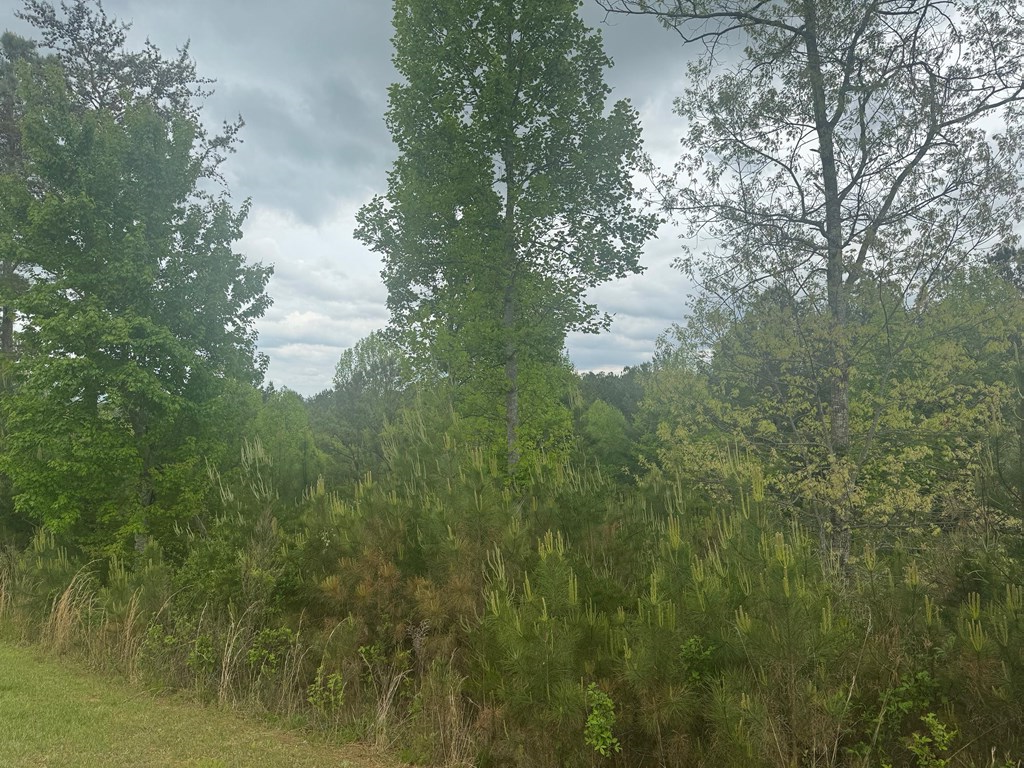 Lot 231 Ridge Point Way