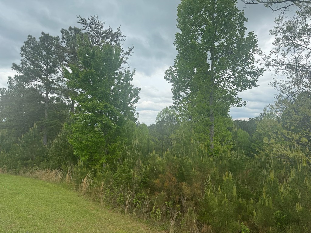 Lot 231 Ridge Point Way