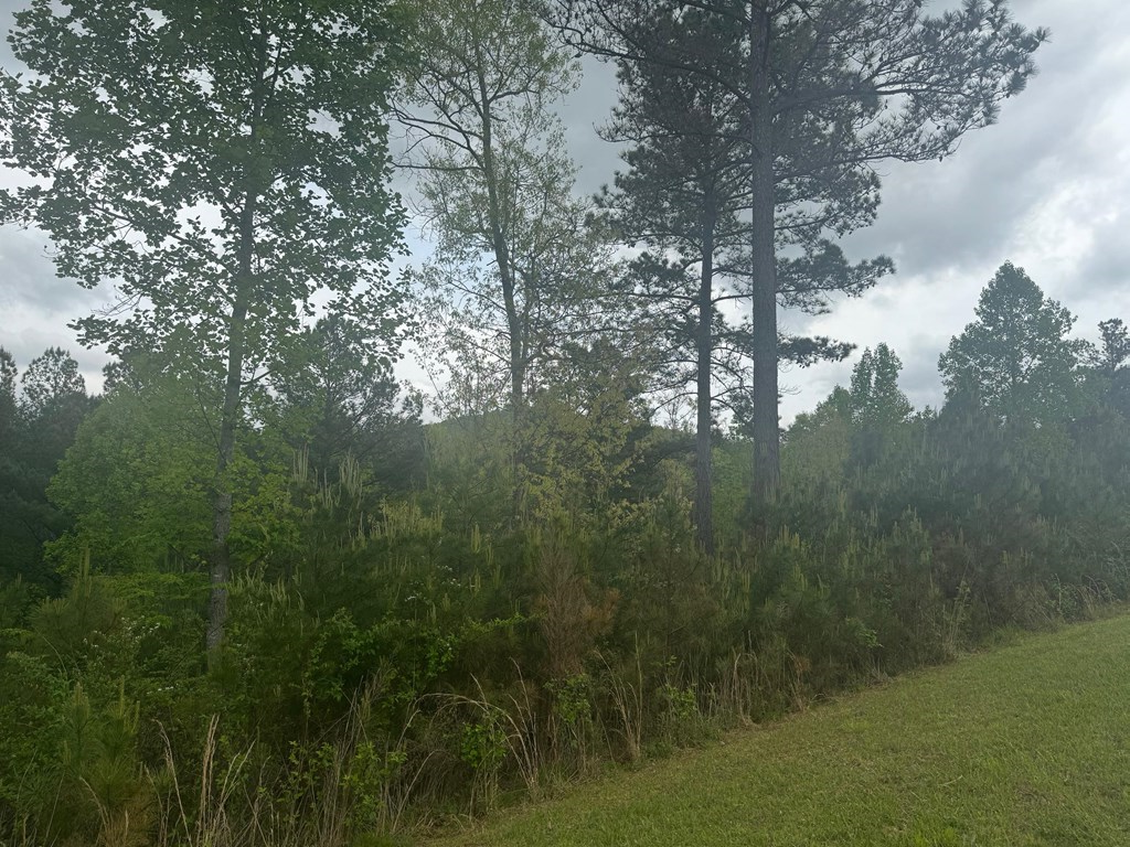 Lot 231 Ridge Point Way