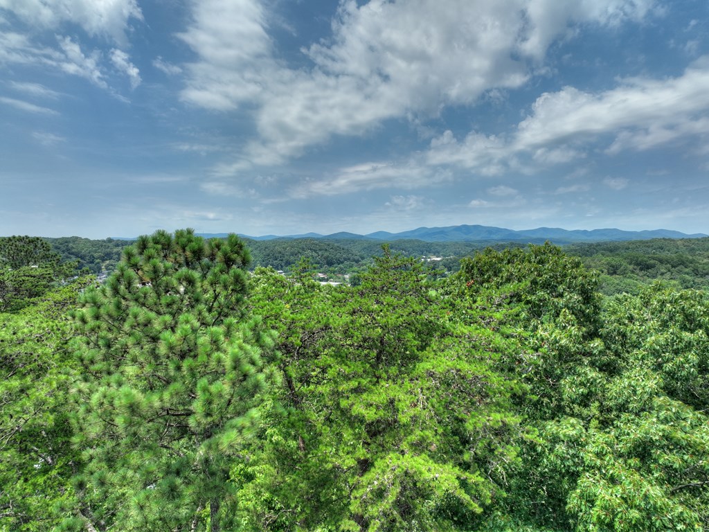 Lot 4 Mountain Trace