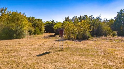 Tiny photo for 7196 S County Road 458, Normangee, TX 77871 (MLS # 26005216)