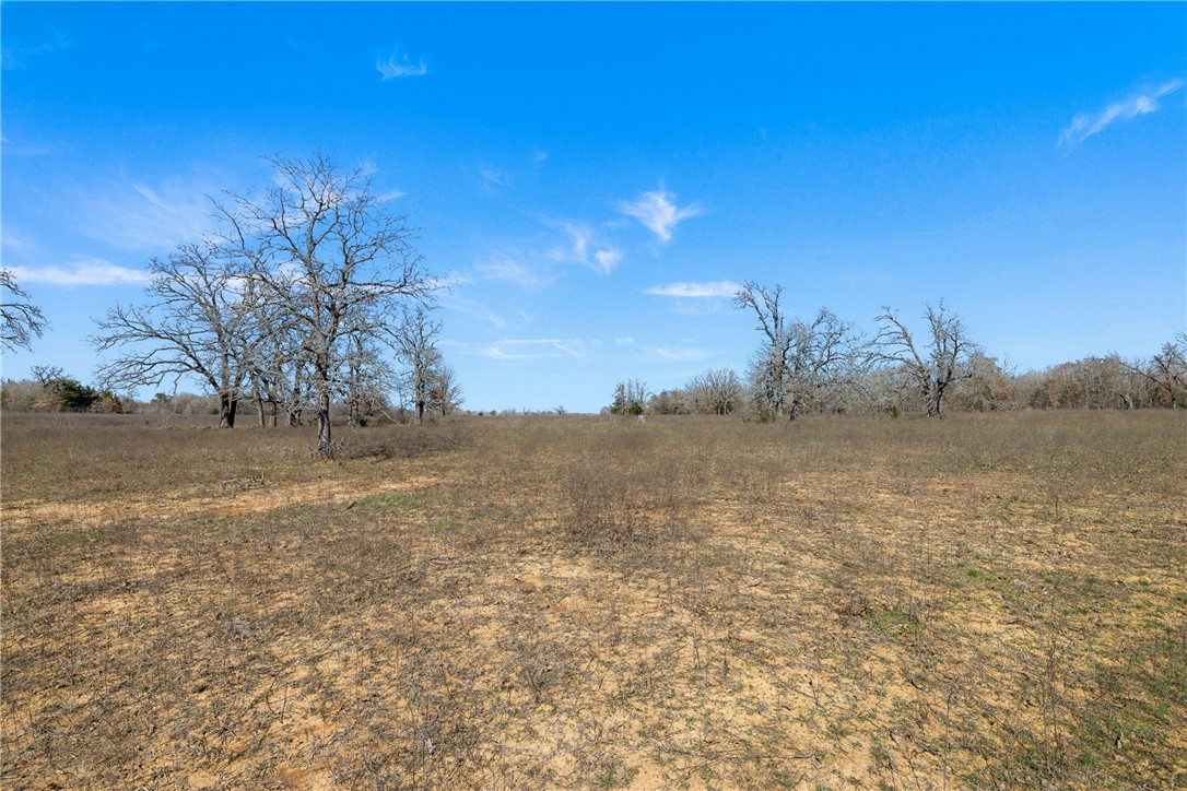 95 Acres +/- County Road 234