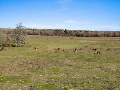 95 Acres +/- County Road 234 Milano TX 76556