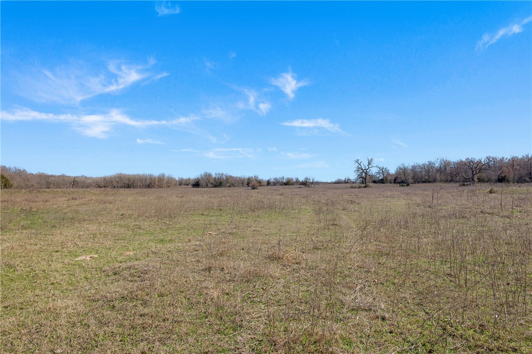 95 Acres +/- County Road 234