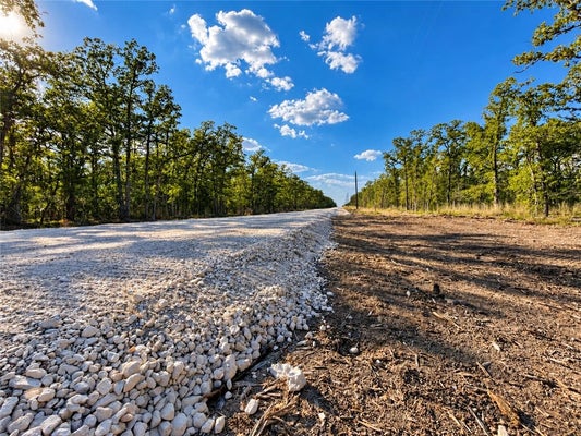 LOT 29-52 MEADOW STREET, SOMERVILLE, TX 77879 - Image 035c18b544552af9b2f67bb2da7bdbf8/1936237221