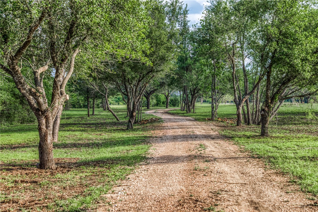 TBD 84.78 Acres Jack Manning