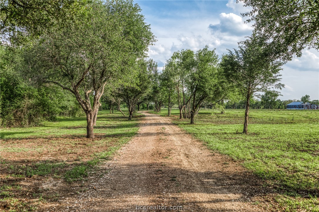 TBD 84.78 Acres Jack Manning