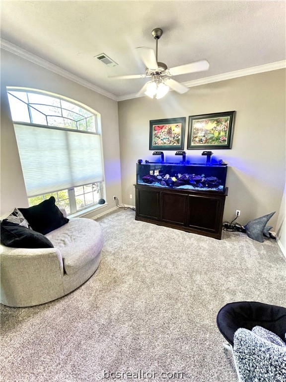 College Station, Texas 77845, United States, 3 Bedrooms Bedrooms, ,3 BathroomsBathrooms,Residential,Pending,59015