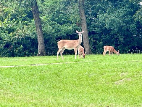 Tiny photo for 18 Eden Rock, Hilltop Lakes, TX 77871 (MLS # 26002026)