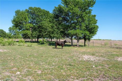 Tiny photo for 2205 County Road 122 CountyRoad, Caldwell, TX 77836 (MLS # 26005025)