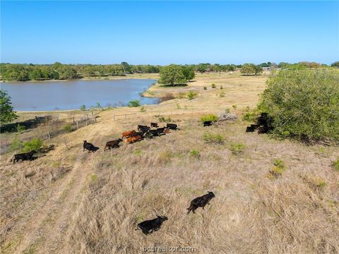Tiny photo for 2205 County Road 122 CountyRoad, Caldwell, TX 77836 (MLS # 26005025)