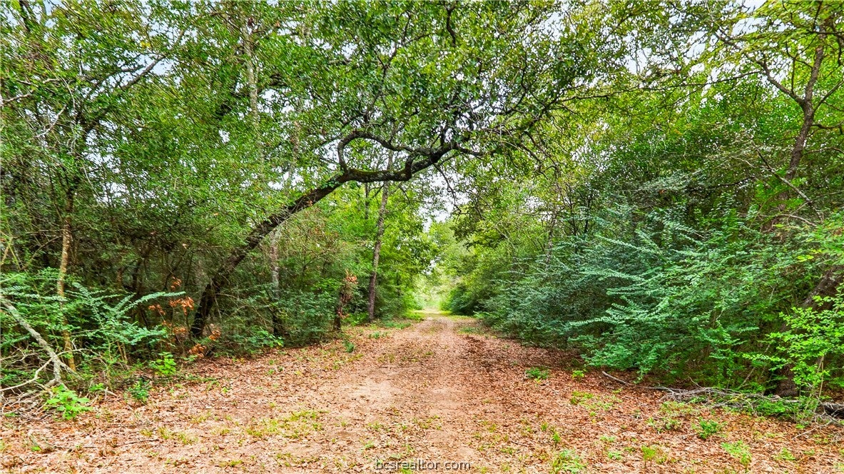 8619 Private Road 1100