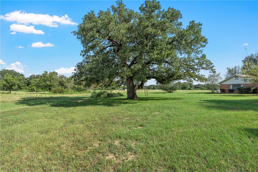 164 County Road 326A