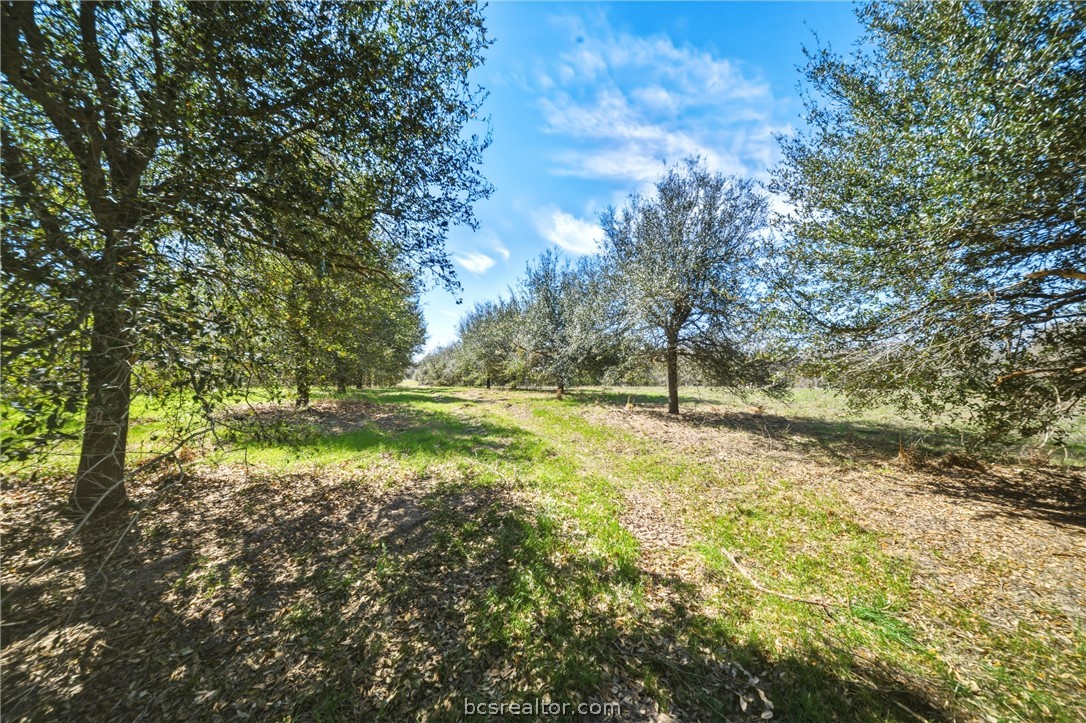 TBD Little Mississippi Cemetery Road