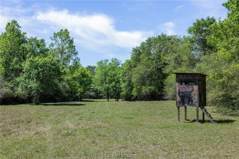 Tiny photo for 9832 Hawaii Lane, Midway, TX 75852 (MLS # 26005231)