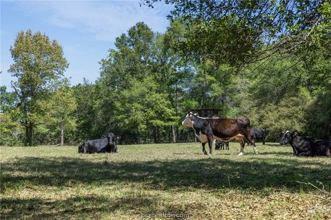 Tiny photo for 9832 Hawaii Lane, Midway, TX 75852 (MLS # 26005231)