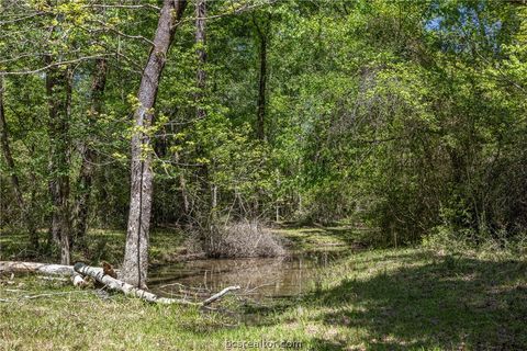 Tiny photo for 9832 Hawaii Lane, Midway, TX 75852 (MLS # 26005231)