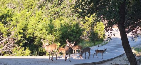 Tiny photo for 2038 Owl Br, Canyon Lake, TX 78133 (MLS # 25012003)