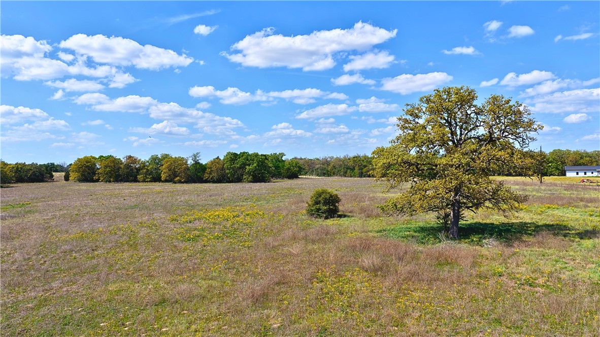 TBD Legacy Road (5.41 Acres)