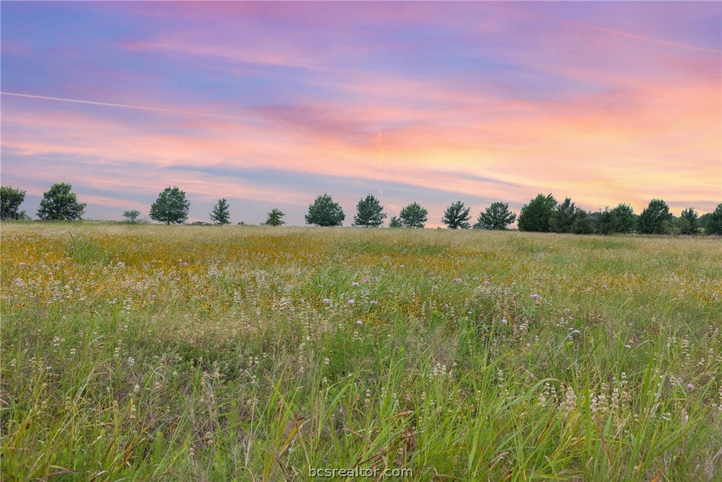Photo of 305 County Road 108, Caldwell, TX 77836 (MLS # 26010122)