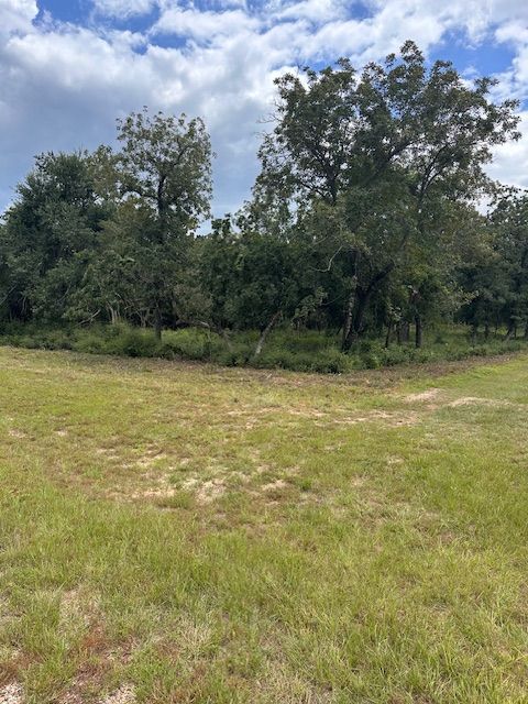 20 Meadowood Hilltop Lakes TX 77871