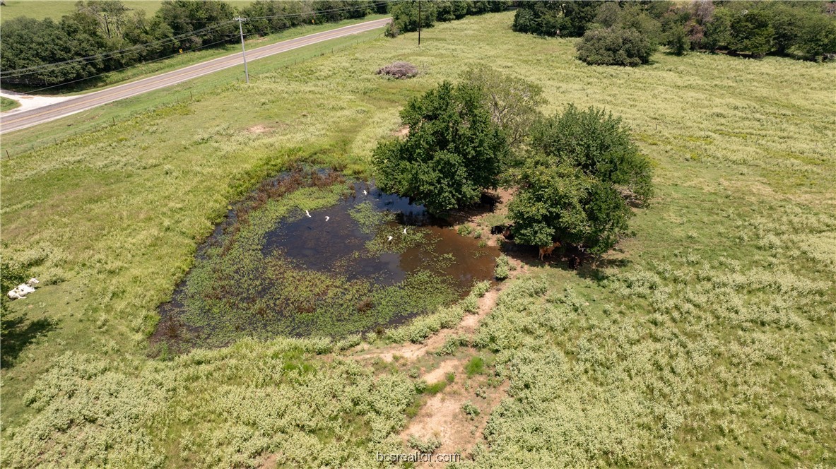 Bryan, Texas 77808, United States, ,Land,Active,50238