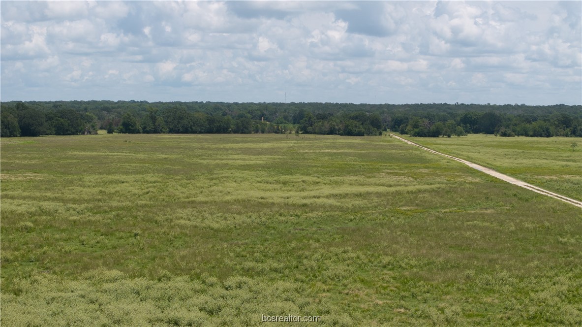 Bryan, Texas 77808, United States, ,Land,Active,50238