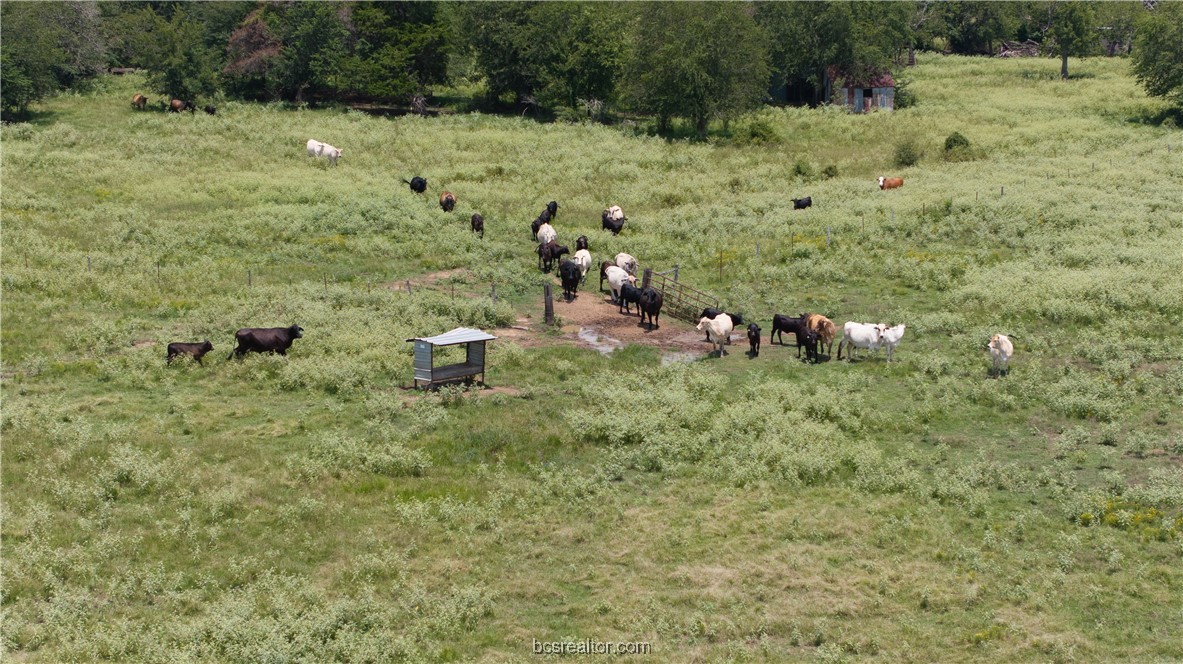 Bryan, Texas 77808, United States, ,Land,Active,50238