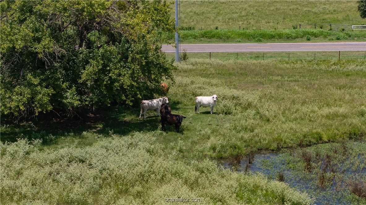 Bryan, Texas 77808, United States, ,Land,Active,50238