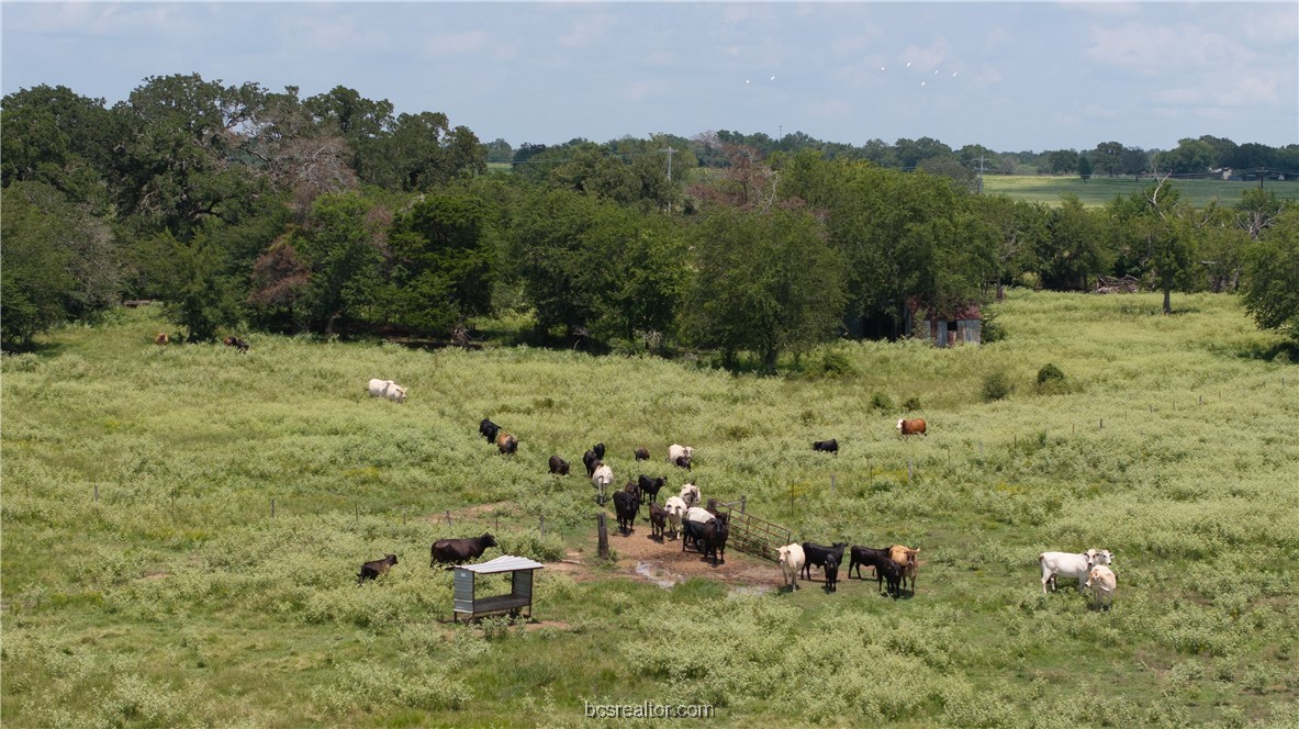 Bryan, Texas 77808, United States, ,Land,Active,50238