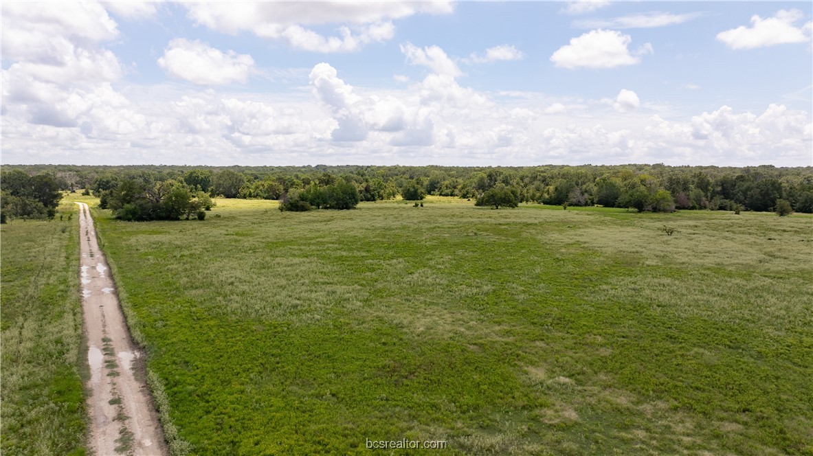 Bryan, Texas 77808, United States, ,Land,Active,50238