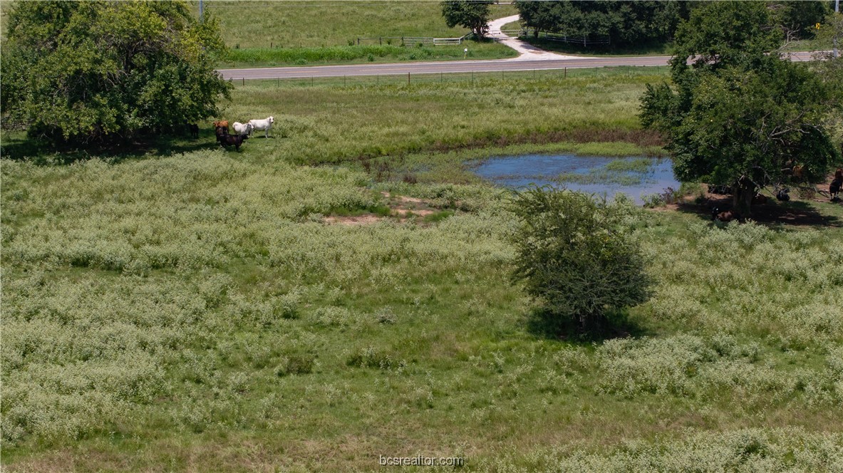 Bryan, Texas 77808, United States, ,Land,Active,50238