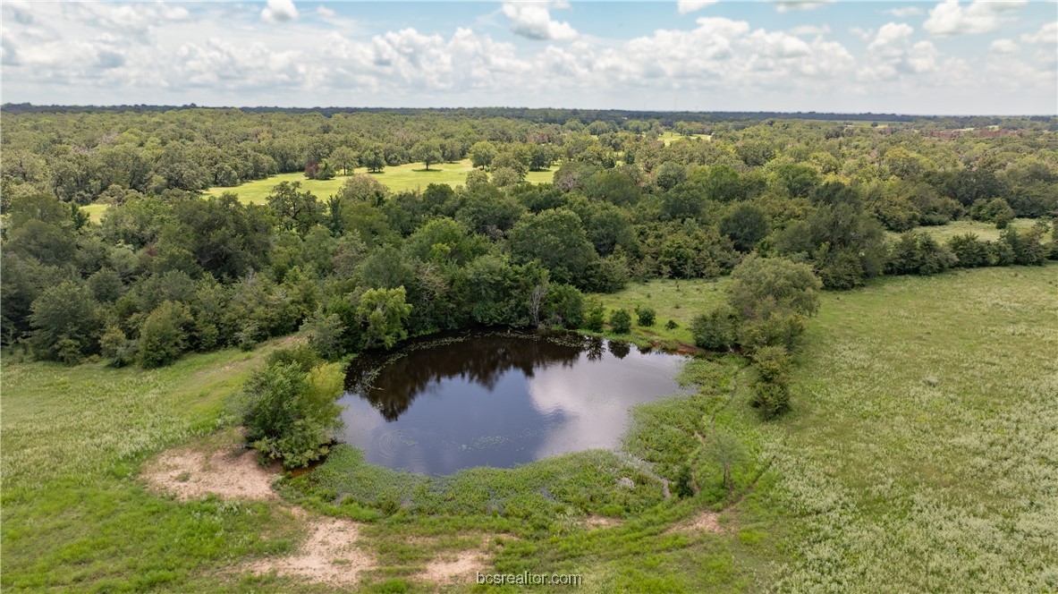 Bryan, Texas 77808, United States, ,Land,Active,50238