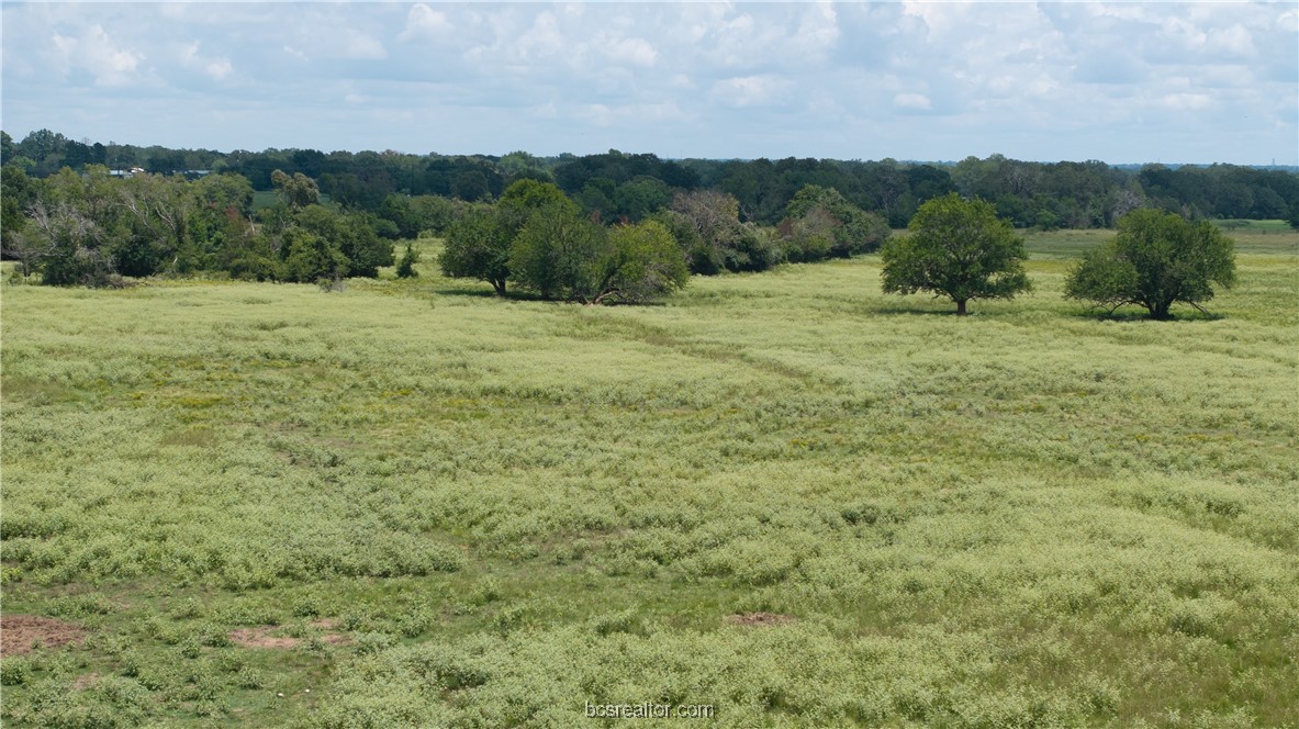 Bryan, Texas 77808, United States, ,Land,Active,50238