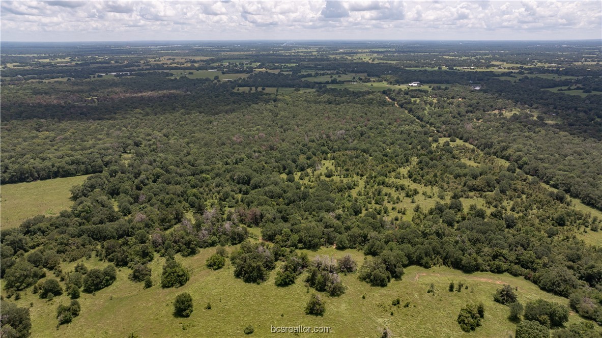 Bryan, Texas 77808, United States, ,Land,Active,50238